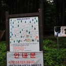 청태산자연휴양림 이미지