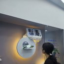 (주)플라이웨이브코리아 | 라이프웨이브 본사 방문후기