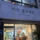이안플로레오