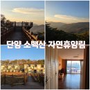 화전민촌 | 이것이 바로 복지, 힐링여행 끝판왕 단양 소백산 자연휴양림 산림문화휴양관