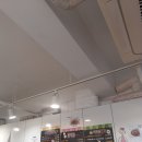 칼리도파파
