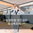 최강 백호 태권도장 이미지