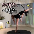 필레오트윈파크2동 | 부천폴댄스 시즌폴댄스 3회 수업 후기(+폴댄스,에어리얼 후프)