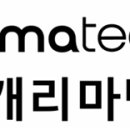 캐리마텍