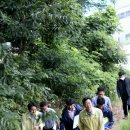 금곡시장 이미지