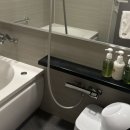 리세븐전자 | 신주쿠 숙소 추천｜호텔 그레이스리 신주쿠 장단점 실제 후기