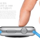 애플카드포스 이미지