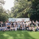 꼬똥사파이어 이미지