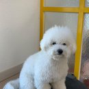 큐티살롱 이미지