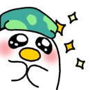 신기합기도태권도