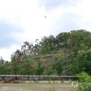 백로서식지 이미지