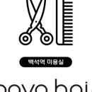 파보헤어 이미지