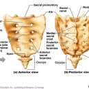 엠에스피지컬 이미지