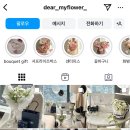 디어마이플라워 이미지