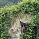 정동진3리 이미지