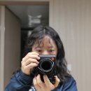 D.C백화점 - 익산시 | 라이카 디럭스8 LEICA D-LUX 8 카메라 사용한지 이틀차 후기