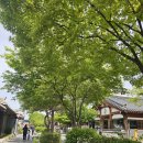 교동마을회관 | [전주 맛집] 한옥마을 '교동 석쇠 불고기' 솔직후기 한옥마을 주차 정보