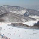 더 편안 리조트 이미지