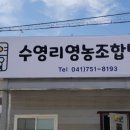 수영리영농조합법인 이미지