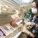 프랑소와펫 롯데일산점 뉴시스