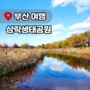 낙동강체육공원 인라인스케이트장, 게이트볼장 | 삼락생태공원 주차장 부산 겨울 산책로