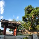 낙원호텔 | 메이필드호텔 패밀리 스위트_ 메이필드호텔 수영장 아기수영장, 낙원, 산책 후기
