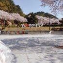 영산대학교 기숙사 이미지