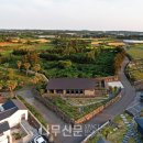 건축사사무소 비온에이 | 제주 스테이 와타wa:tar ― 아름다운 시간에 머무는 땅