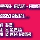 신조어 의미를 찾아서 고소영 → 강부자 → 강금실 → 고두심→ 김수로 → 명계남 → 태현실 → 전두환 → 이제는 강부자나 강금실(종부세 때문에) 이미지