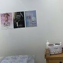 와이(y) 동물병원 | 통증 대박 왁싱? 이제 천안 와이왁싱에서 맘편히 받아보자!