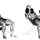 팀스 짐 이미지