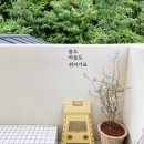 제주스테이 루다 이미지