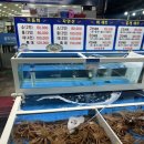 연다라회식당 | 포항 죽도시장 대게 시세 현황 및 스페셜 메뉴 구성 총정리 연다라 회 대게 식당