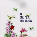 ♧가을엔 맑은 인연이 그립다 이미지