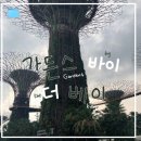 슬가플라워 | ✈️ 신혼여행 15 :: 싱가포르 가든스바이더베이 후기ㅣ마이리얼트립 비추