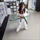 경희대 최강 MTA 태권도 네이버블로그