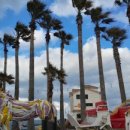 소금빌레 이미지