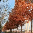 백석대교밑공원 | 경인아라뱃길 걸어 보기... 인천서해갑문에서 방화대교까지 32km 8시간 30분 걸어보기
