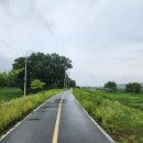 달전1리 마을회관 | [경기둘레길 37코스] 이천 트레킹, 현수1리마을회관에서 장호원 버스터미널까지, 청미천 트레킹 코스...