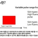 엘리나의원 네이버블로그