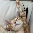 순식농장 이미지