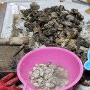 굴바위민박 이미지