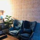 스파피닉스 이미지