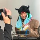 지디컬렉션 이미지