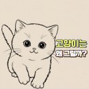 고양이가 낮잠을 많이 자는 진짜 이유와 보호자가 꼭 알아야 할 점