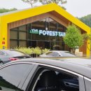 포레스트테일 | 용인 처인구애견카페 남사애견동반카페 더포레스트테일 후기 :)