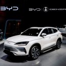 BYD 딜러 2곳, 재고 극심한 압박 의심으로 폐쇄 이미지