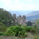 블루마운틴 이미지