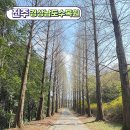 경상남도수목원전망대 네이버블로그