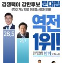 제주지사 4자대결 여론조사결과.jpg (민주당 후보가 문대림일 경우임) 이미지